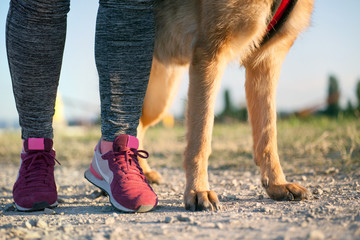Sierkussen Joggen Vrouw joggend met hond in park  © V&P Photo Studio