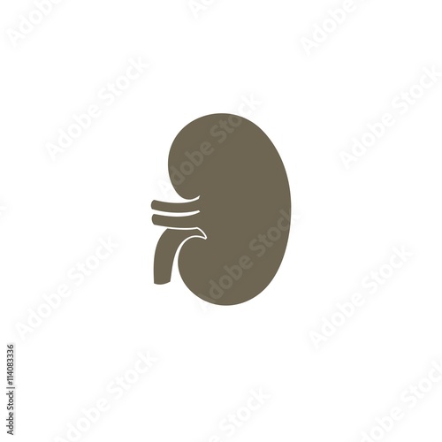 Vector Kidney icon. Transplantation organ sign / nephrology symbol. Vector illustration.