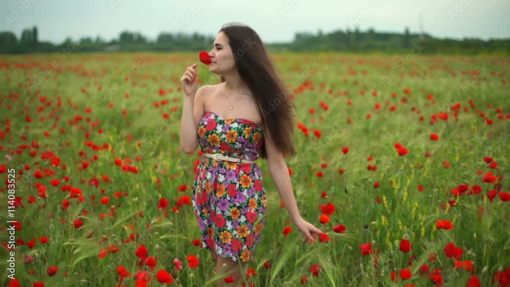 happy female sniffing poppy in a field slow motion happy female sniffing poppy in a field slow motion