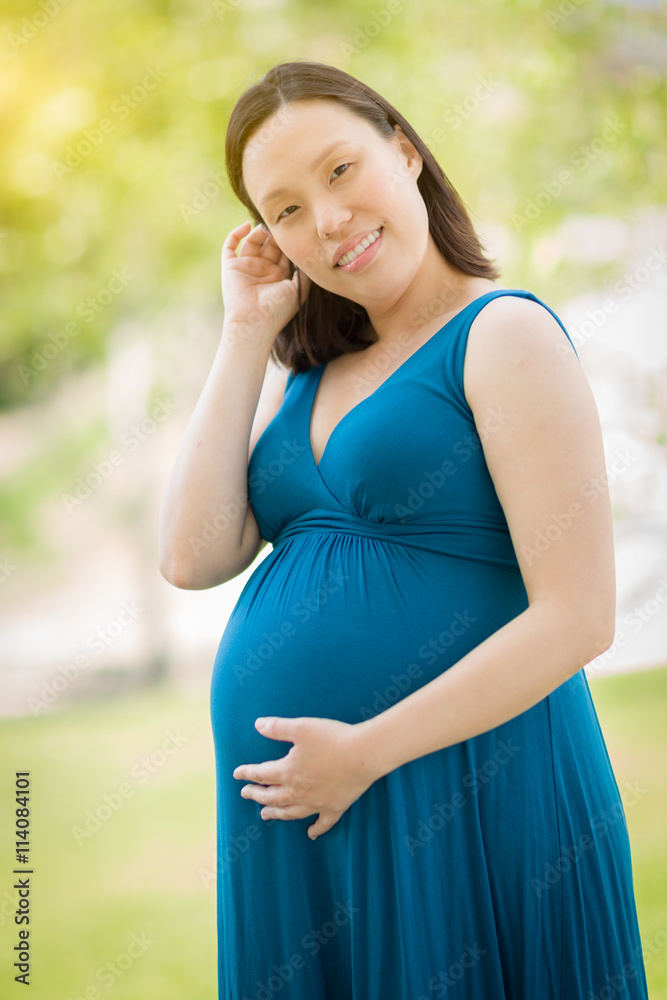 Young Pregnant Chinese Woman Portrait in Park Young Pregnant Chinese Woman Portrait in Park