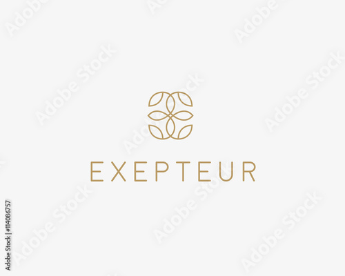 Fototapeta Naklejka Na Ścianę i Meble -  Abstract leaf flower logo icon design. Universal creative premium symbol. Graceful fashion boutique vector sign.