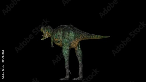 Animation of dinosaur Aucasaurus gyrating 360 degree on black background photo