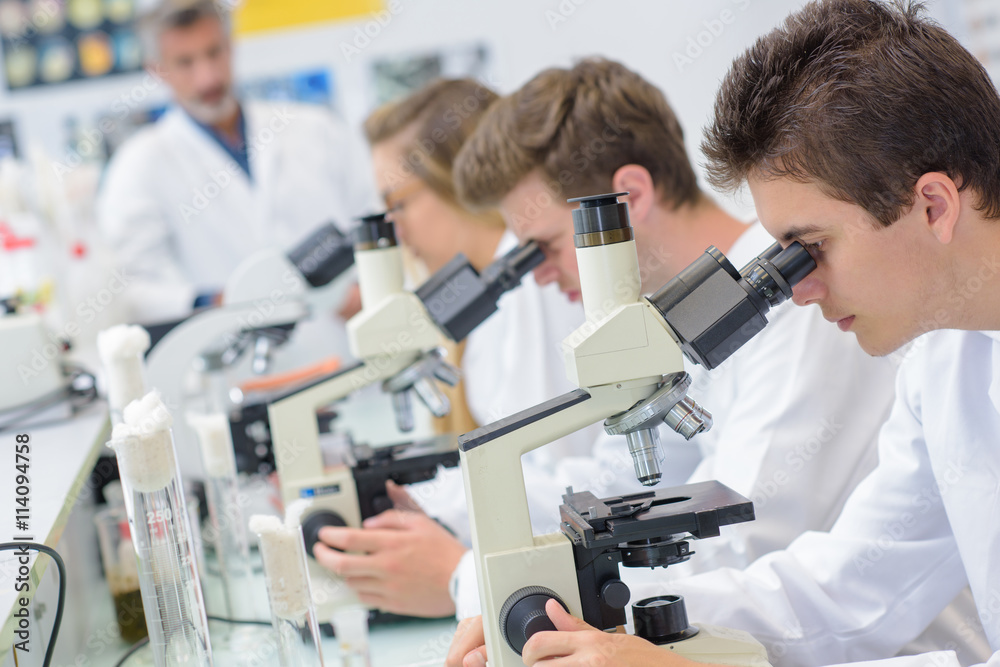 observation under the microscope