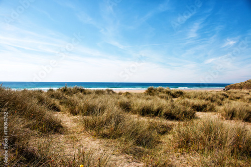 Dune grass at the beach. A view to the beach and sea