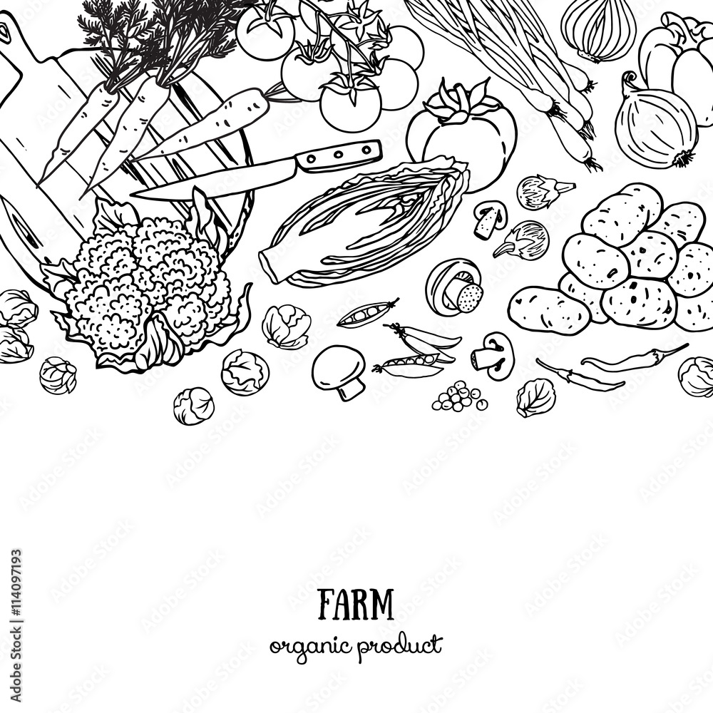 Doodle farm organic vegetables banner