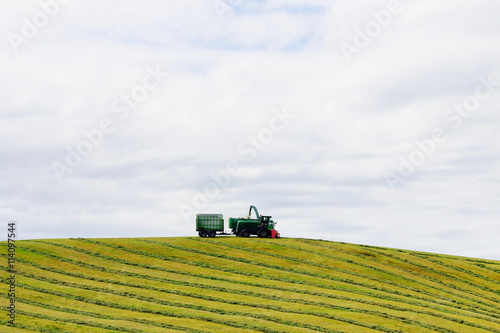 美瑛の丘の麦の収穫