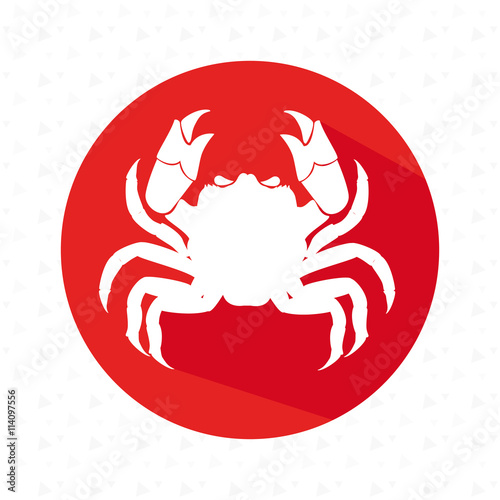 signs of the zodiac design, vector illustration eps10 graphic 