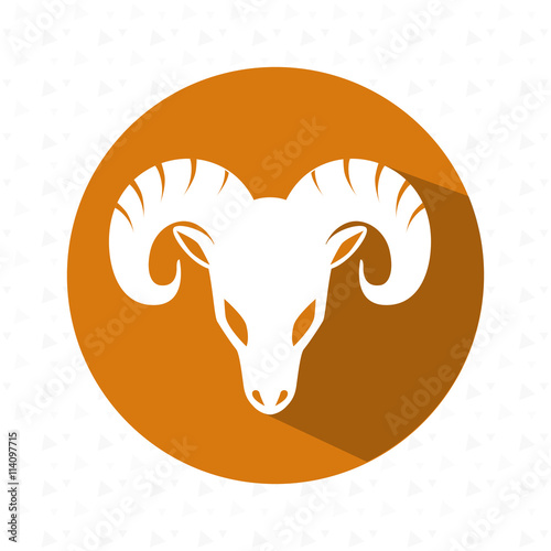 signs of the zodiac design, vector illustration eps10 graphic 