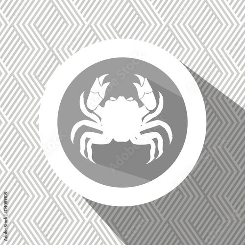 signs of the zodiac design, vector illustration eps10 graphic 
