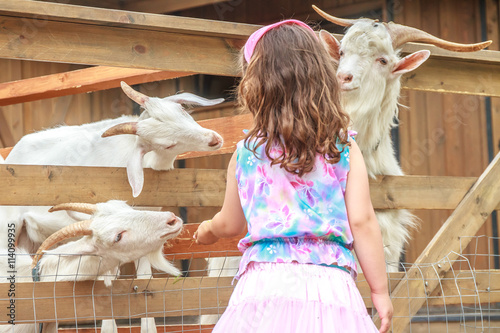 Fényképezés outdoor portrait of young happy young girl feeding goat on farm