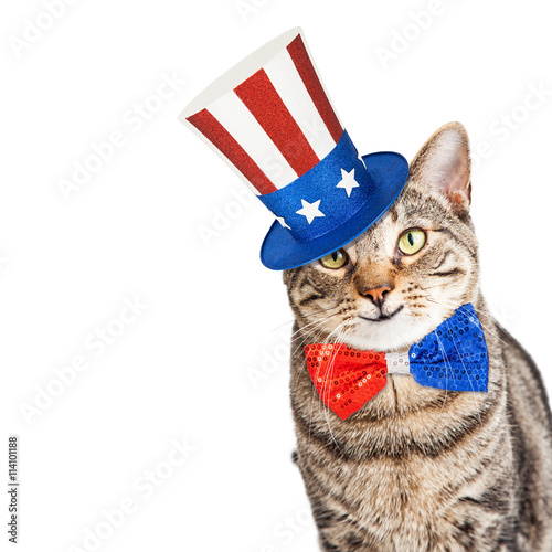 Fototapeta Naklejka Na Ścianę i Meble -  Funny American Patriotic Cat