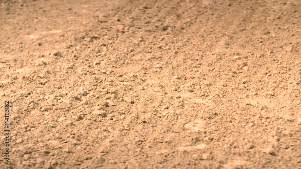 Land affected by drought Land affected by drought