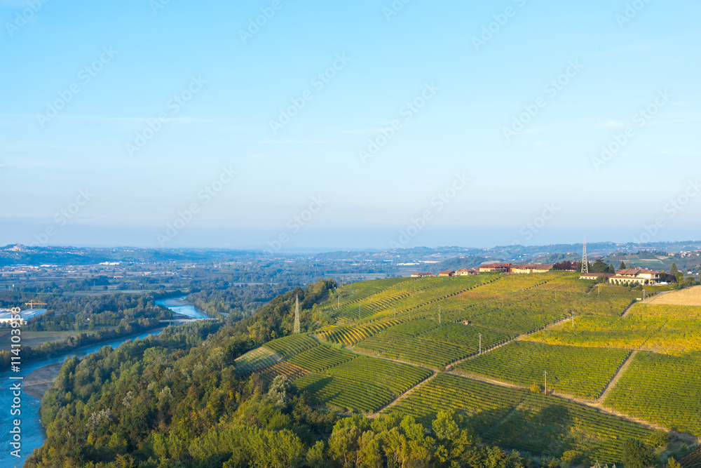 beautiful vineyard in switzerland in blue sky