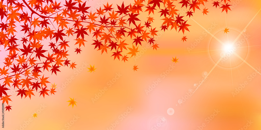 紅葉 秋 風景 背景 紅葉 秋 風景 背景