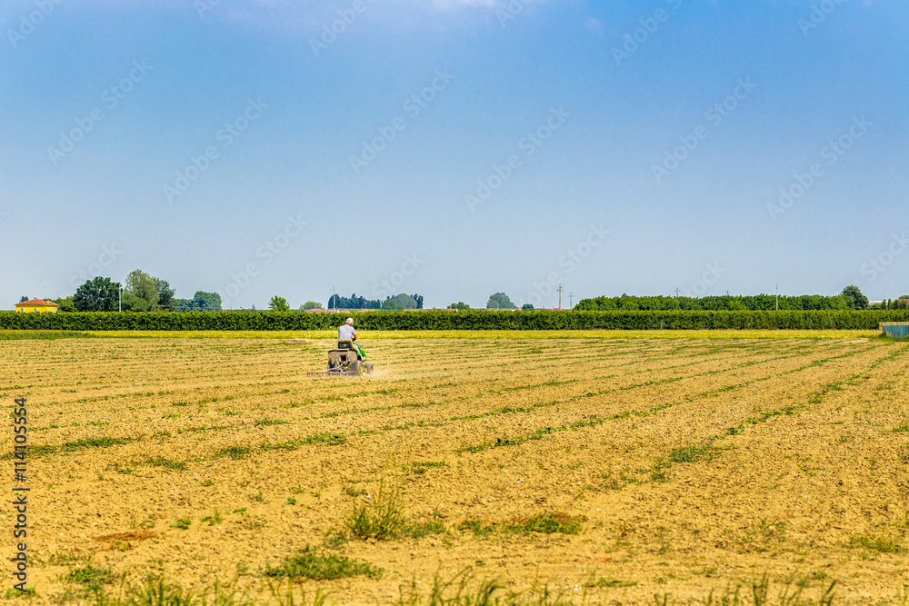 Fototapeta premium small tractor plowing a large field