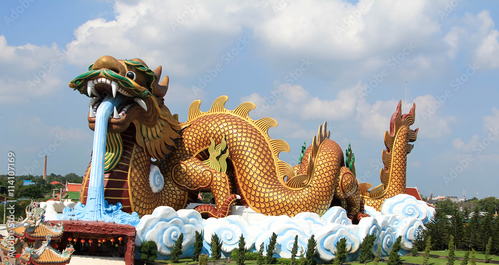 Fototapeta premium dragon