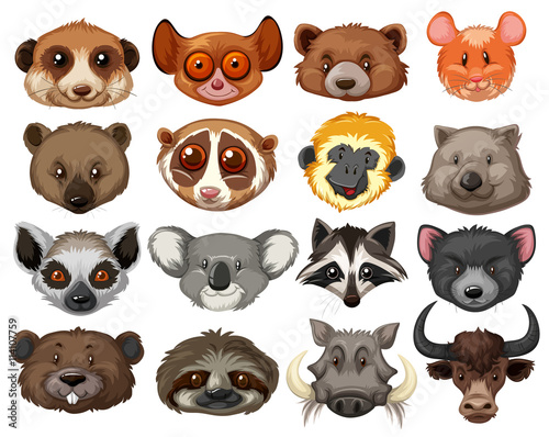 Set of animal heads
