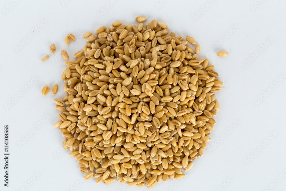 Golden yellow arley grain texture pile background Golden yellow arley grain texture pile background
