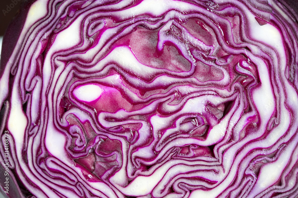 Close up on sliced purple salad cabbage Close up on sliced purple salad cabbage