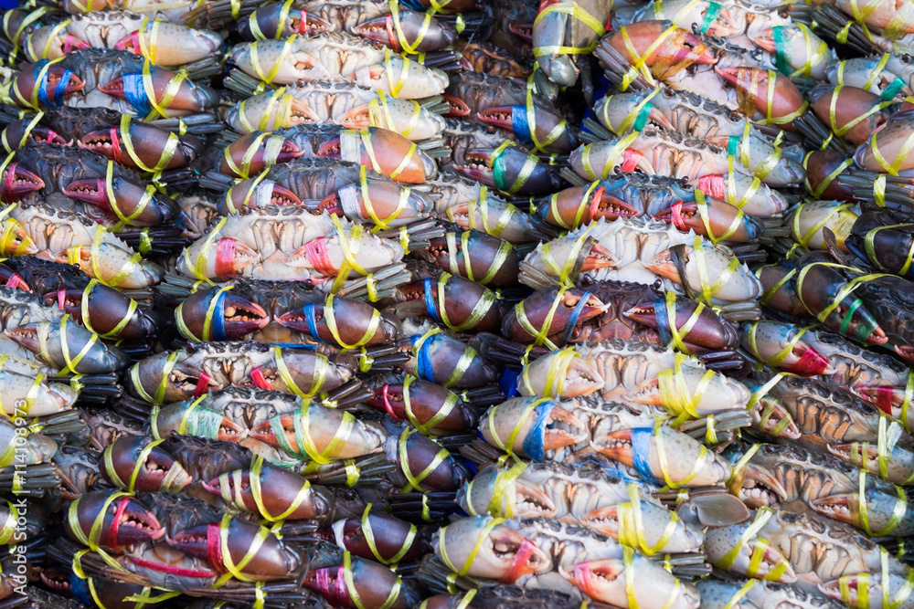 Fresh sea crab at a fish market