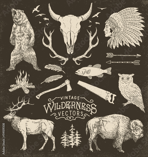 Obraz na płótnie Vintage Wilderness Vector Illustration Set