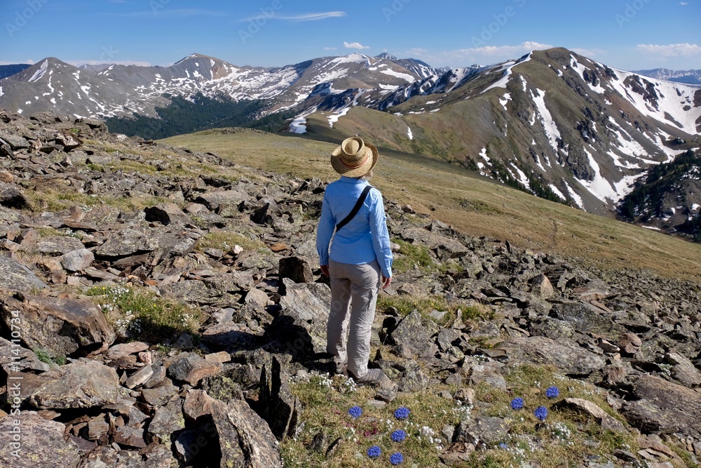 Woman in hat enjoying view of Rocky Mountains and alpine wild flowers. Cottonwood Pass near Denver and Buena Vista, Colorado, USA. 