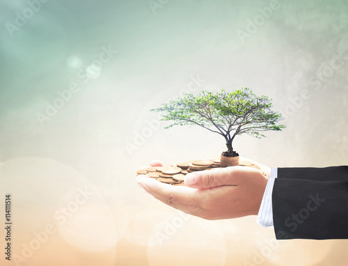 Investment concept: Businessman hand holding stacks of golden coins and big tree.