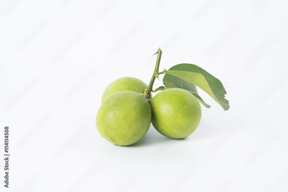 lemons fruit lemons fruit