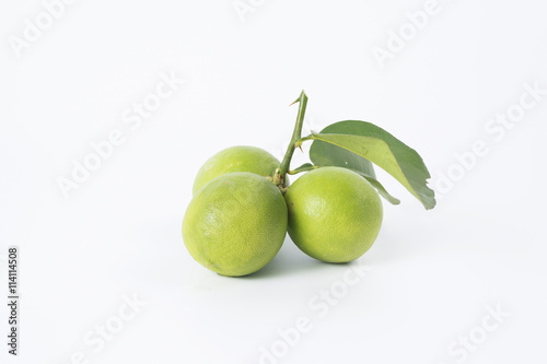 Wallpaper Mural lemons fruit Torontodigital.ca