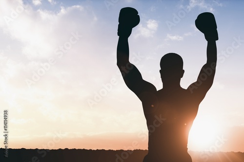Composite image of boxer posing after victory