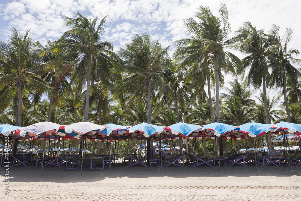 Coconut trees ,umbrellas and chairs in the beach in Thailand