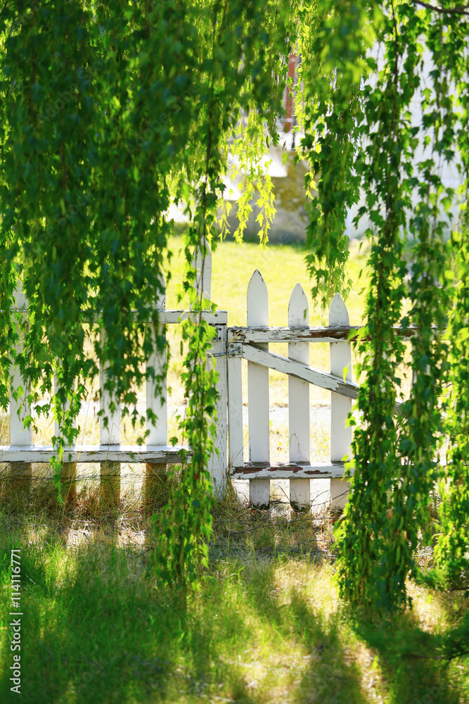 Naklejka premium View of white wooden gate through the branches of birch
