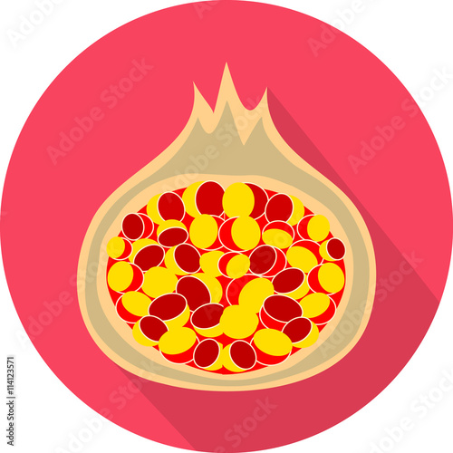 Juicy fig. Colorful flat icon