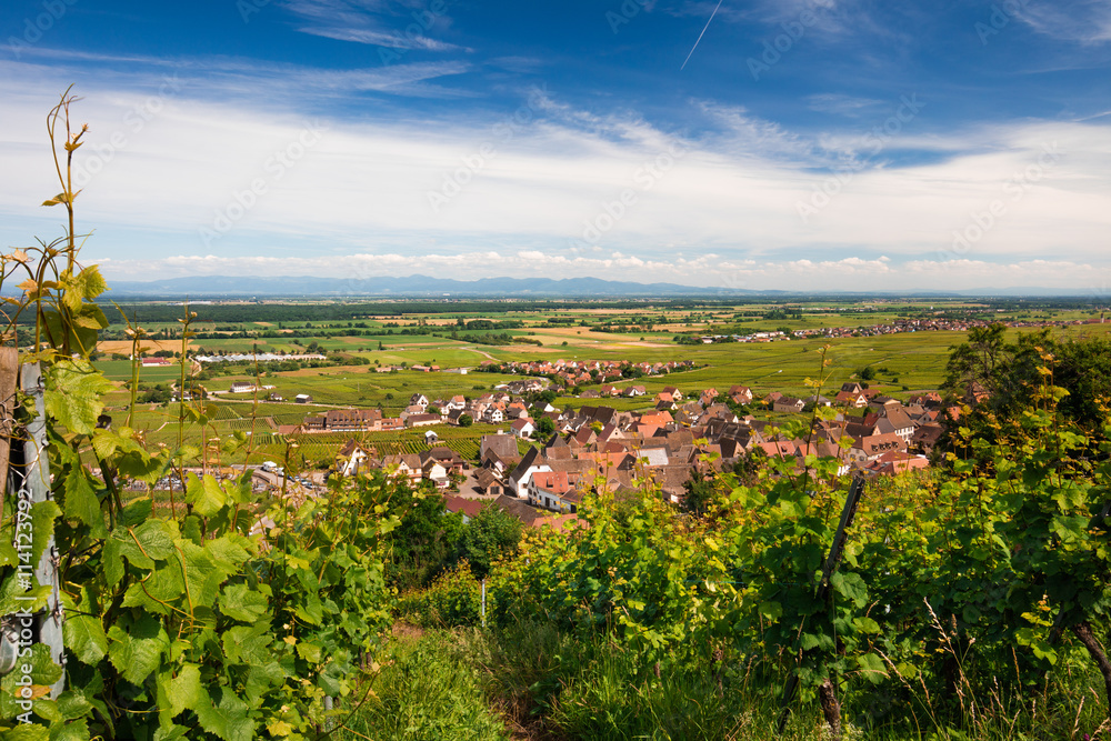 Plaine d'Alsace et vignoble avec village typique
