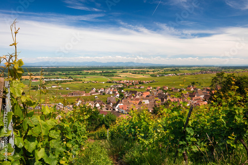 Plaine d Alsace et vignoble avec village typique