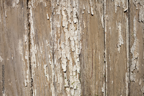 Old plank wall