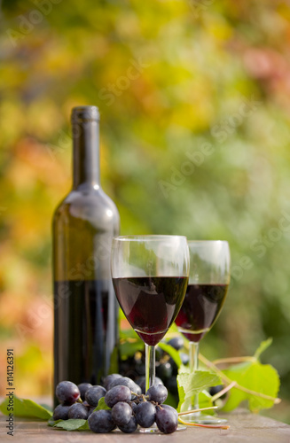 Fototapeta Naklejka Na Ścianę i Meble -  Red wine