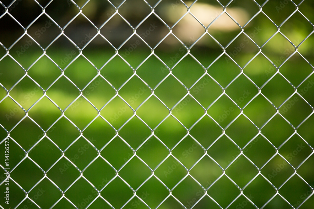 Fototapeta premium Zaun Gitter