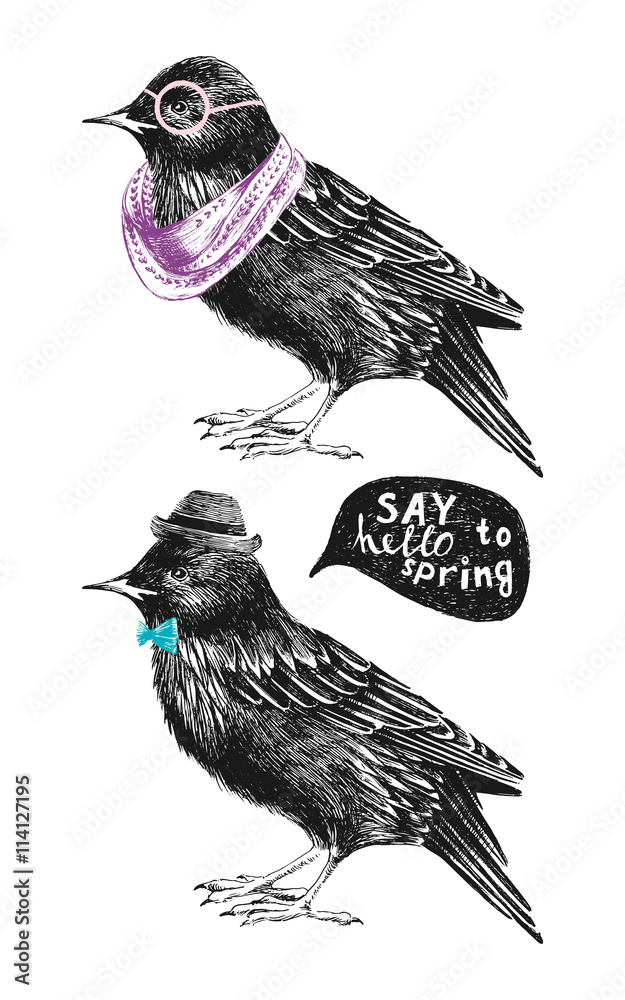 Fototapeta premium dressed up starling couple