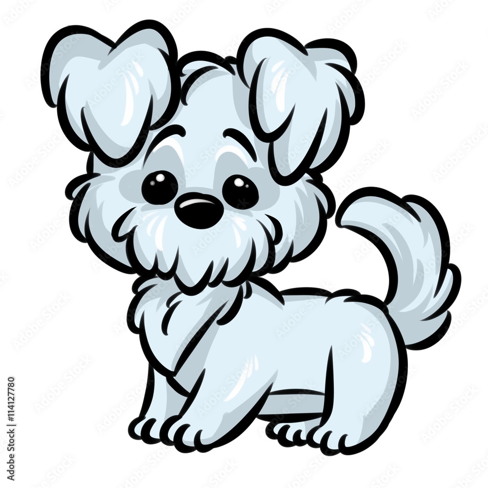 Obraz premium Dog Bichon cartoon illustration isolated image animal character 