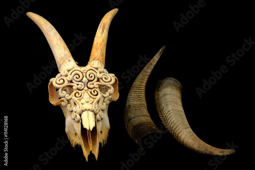 Goat's skull decorated with Polymer clay ( original horn uncut and Selective focus)