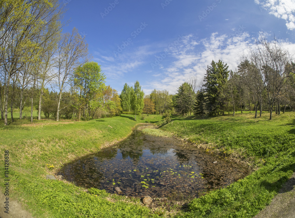 pond in the woods