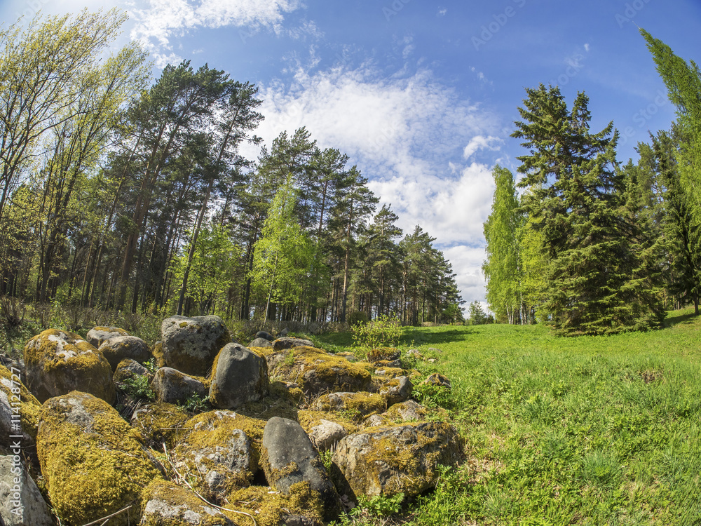 Ridge stones in a park in spring