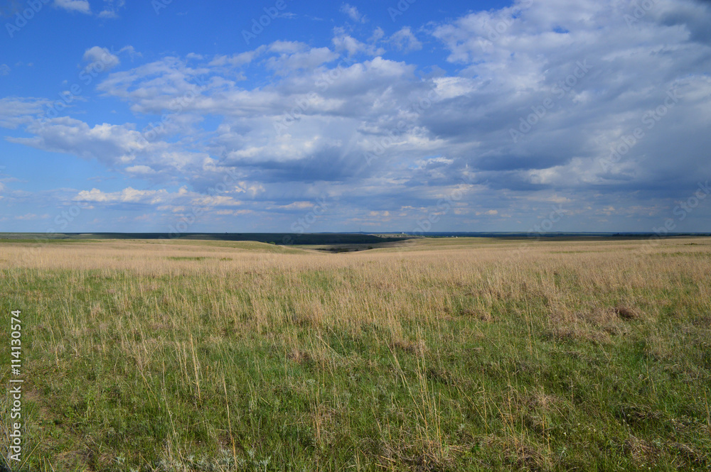 Tallgrass Prairie Tallgrass Prairie
