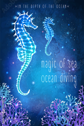 Sea horse in the depth of the ocean. Undersea world