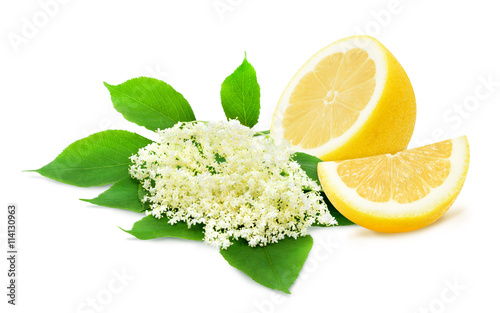 Sprig of sambucus with green leaves and half of lemon isolated on a white background. Ingredients for syrup. Design element for product label, catalog print, web use.