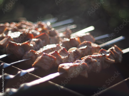 shish kebabs on skewers