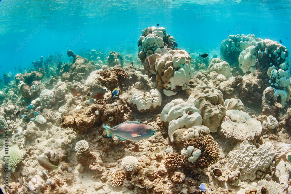 Naklejka premium vacation on island in sea