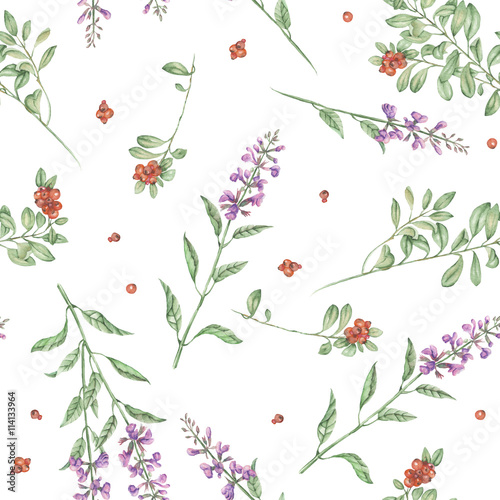 Seamless floral pattern with cowberry and salvia flowers, hand drawn in watercolor on a white background