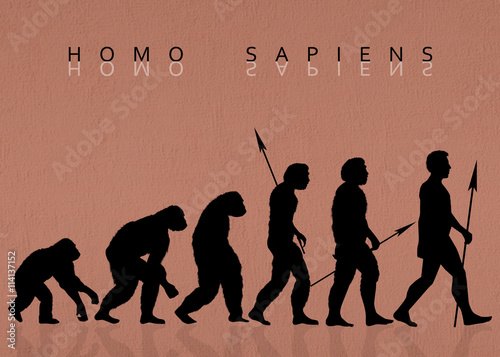 Homo sapiens photo